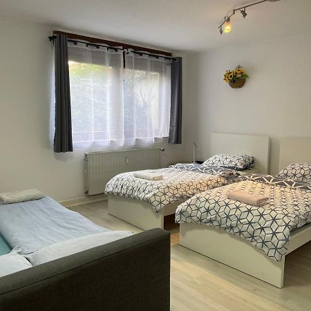 Near Düsseldorf Fair Messe, 2-bedroom apartment with nice Terrace&big Garden Exterior foto